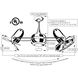 Matthews-Gerbar Duplo-Dinamico 36 inch Polished Brass with Mahogany Blades Ceiling Fan, Matthews-Gerbar