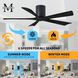 Atlas Irene-5H 52 inch Matte Black Ceiling Fan, Flush Mounted
