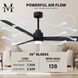 Atlas Alessandra-LK 56 inch Matte Black Indoor/Outdoor Ceiling Fan