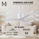 Atlas Eliza 56 inch Gloss White Ceiling Fan, Paddle Fan
