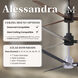 Atlas Alessandra 56 inch Matte Black with Barn Wood Tone Blades Transitional Ceiling Fan