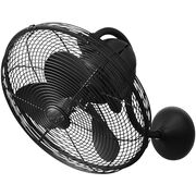 Fans