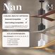 Atlas Nan 52 inch Matte Black with Barn Wood Tone Blades Ceiling Fan