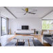 Atlas Irene-5H 60 inch Brushed Brass with Barnwood Tone Blades Ceiling Mount Paddle Fan in Barn Wood, Flush Mounted