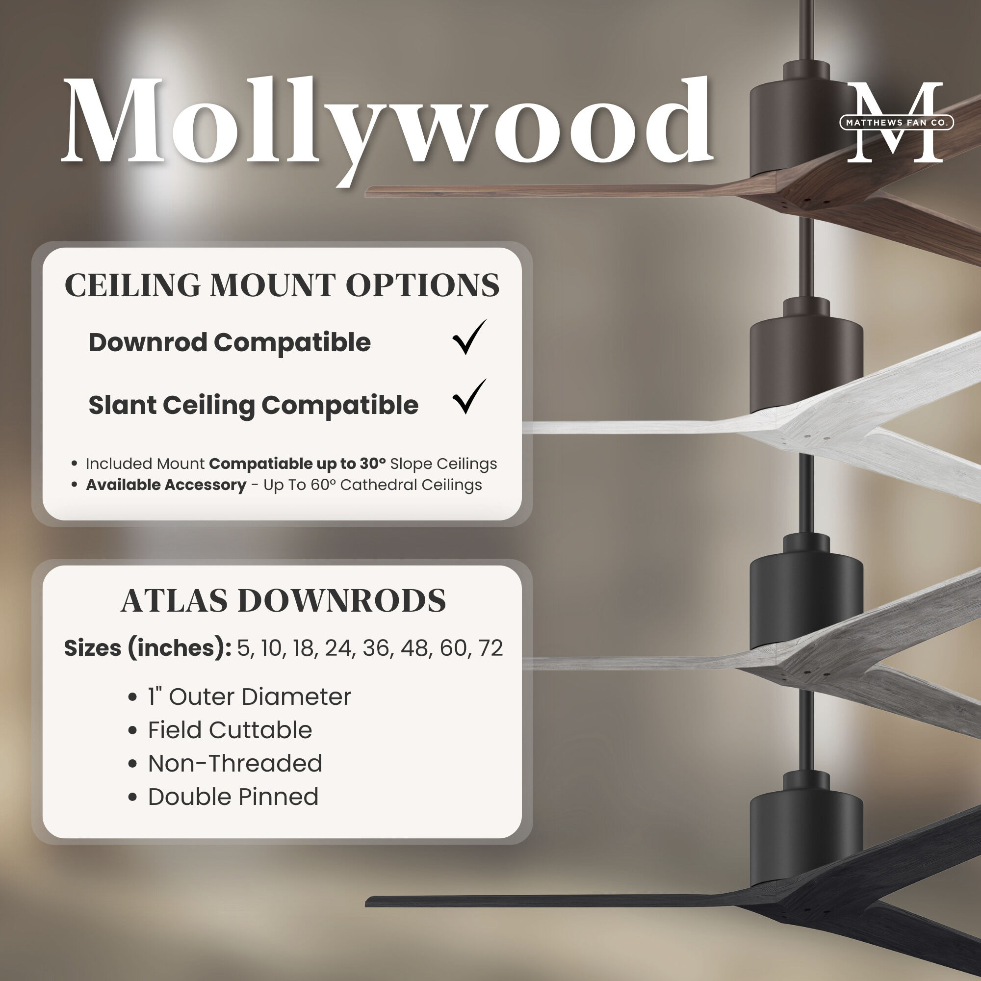 Atlas Mollywood 60 inch Brushed Brass with Matte White Blades Ceiling Fan