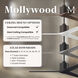 Atlas Mollywood 60 inch Brushed Brass with Matte White Blades Ceiling Fan