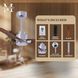 Atlas Alessandra 56 inch Brushed Nickel with Walnut Blades Indoor/Outdoor Ceiling Fan