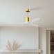Atlas Mollywood 60 inch Brushed Brass with Matte White Blades Ceiling Fan