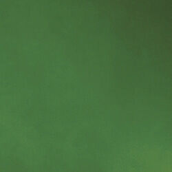 Matthews-Gerbar Michelle Parede 20 inch Esmerelda Directional Wall Fan