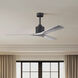 Atlas Nan 60 inch Matte Black with Barn Wood Tone Blades Ceiling Fan