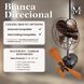 Matthews-Gerbar Bianca Direcional 13 inch Polished Chrome Directional Ceiling Fan, Matthews-Gerbar