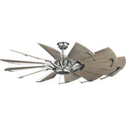 Indoor Ceiling Fans