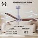 Atlas Alessandra 42 inch Brushed Nickel with Walnut Blades Indoor/Outdoor Ceiling Fan