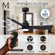 Atlas Alessandra-LK 56 inch Matte Black Indoor/Outdoor Ceiling Fan