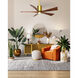 Atlas Patricia-5 52 inch Brushed Brass with Walnut Tone Blades Ceiling Fan