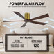 Atlas Irene-5H 60 inch Brushed Brass with Walnut Tone Blades Flush Mount Paddle Fan, Flush Mounted