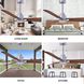 Atlas Alessandra 56 inch Brushed Nickel with Walnut Blades Indoor/Outdoor Ceiling Fan