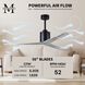 Atlas Eliza 56 inch Matte Black with Barn Wood Blades Ceiling Fan, Paddle Fan