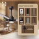 Atlas Alessandra-LK 56 inch Textured Bronze with Brushed Nickel Blades Indoor/Outdoor Ceiling Fan