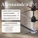 Atlas Alessandra 56 inch Matte Black with Barn Wood Tone Blades Ceiling Fan