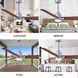 Atlas Alessandra-LK 56 inch Brushed Nickel with Walnut Blades Indoor/Outdoor Ceiling Fan