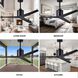 Atlas Eliza 56 inch Matte Black Ceiling Fan, Paddle Fan