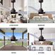Atlas Alessandra-LK 56 inch Textured Bronze with Brushed Nickel Blades Indoor/Outdoor Ceiling Fan